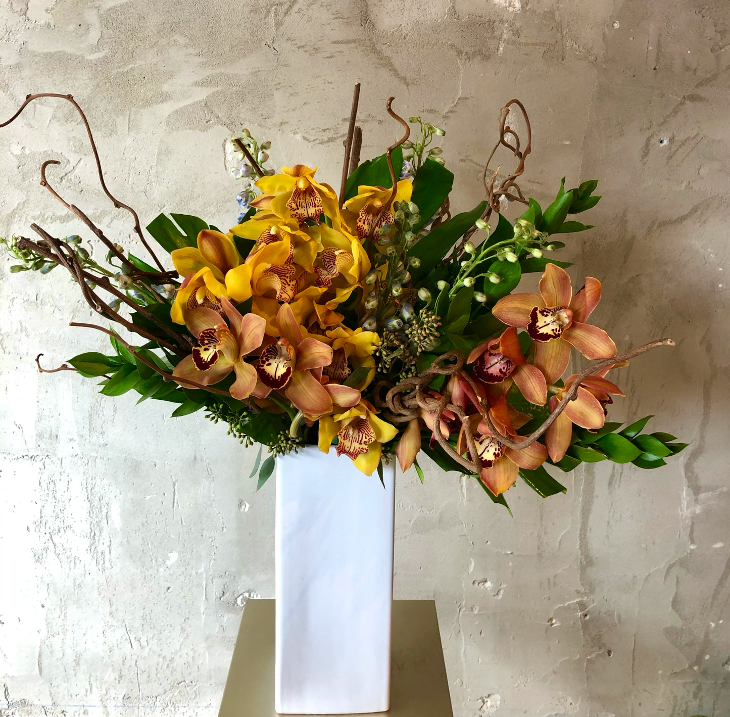 Tropical designer's choice